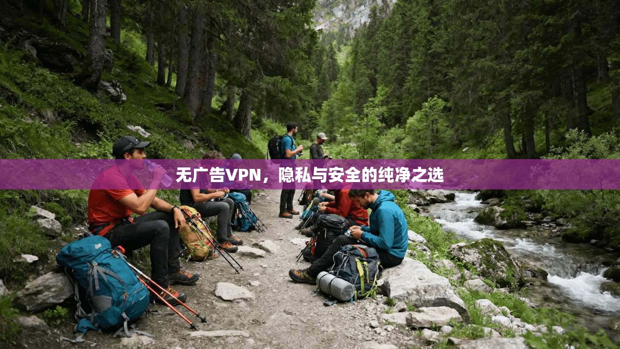 无广告VPN,隐私与安全的纯净之选