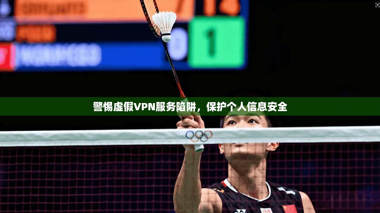 警惕虚假VPN服务陷阱，保护个人信息安全