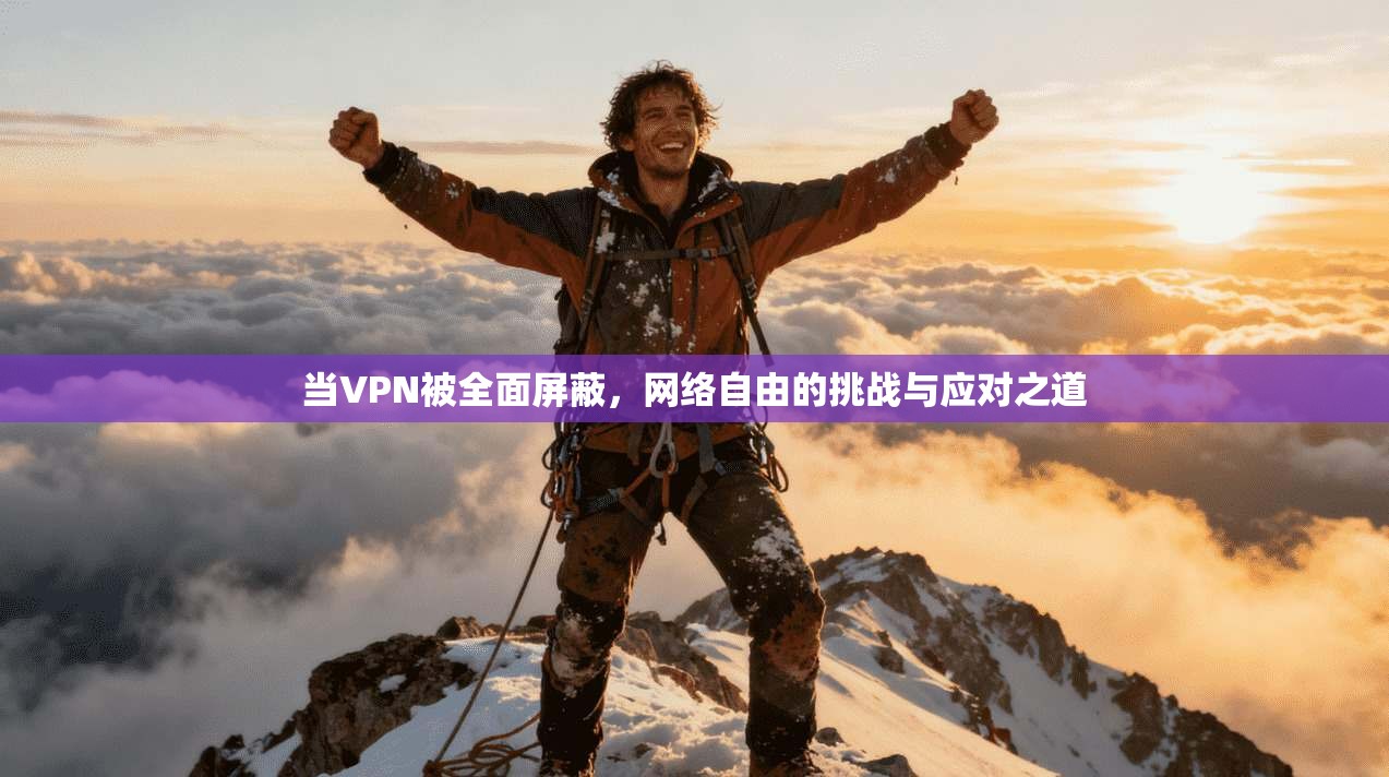 当VPN被全面屏蔽,网络自由的挑战与应对之道