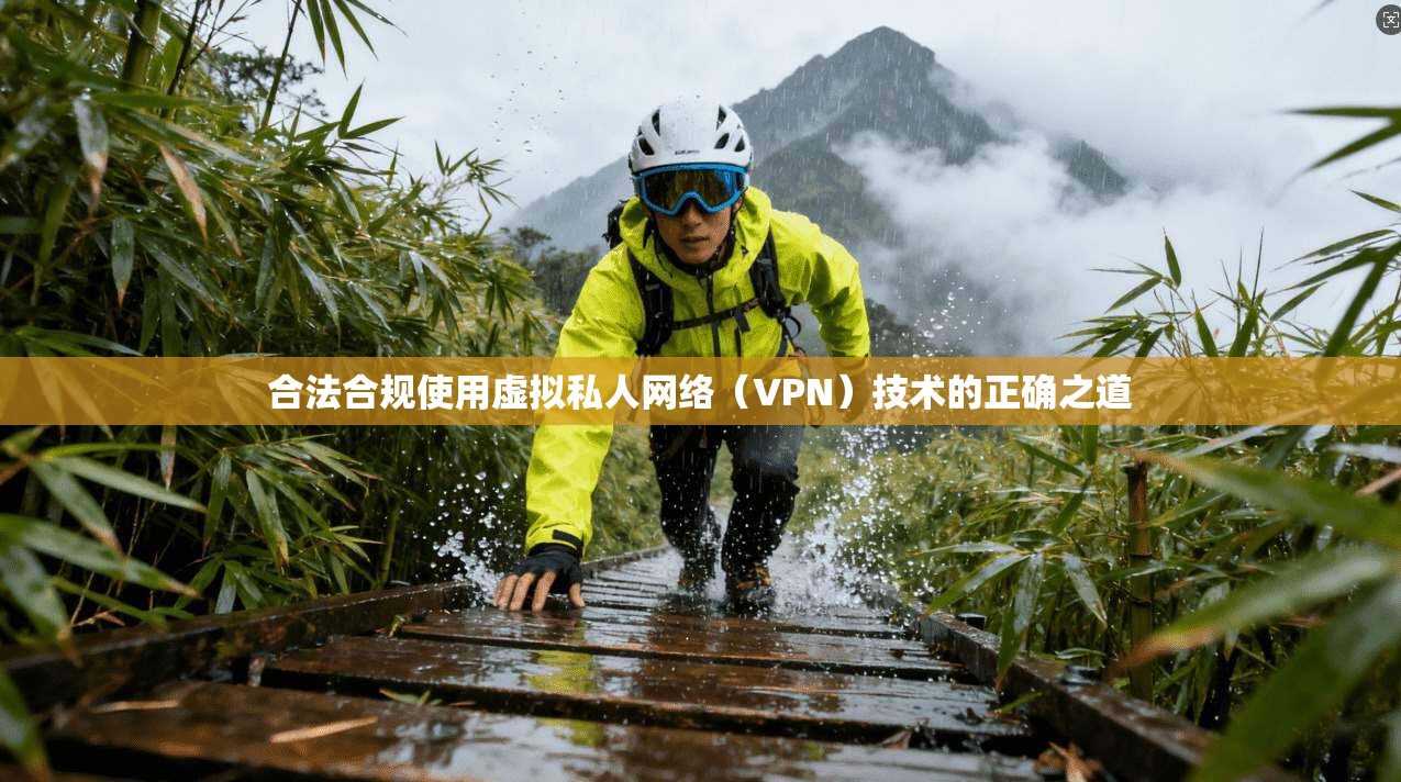 合法合规使用虚拟私人网络(VPN)技术的正确之道