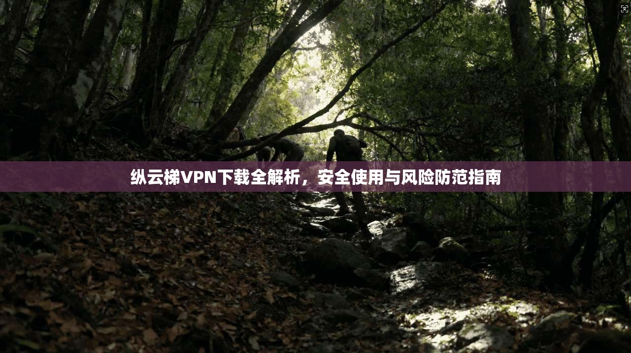 纵云梯VPN下载全解析，安全使用与风险防范指南