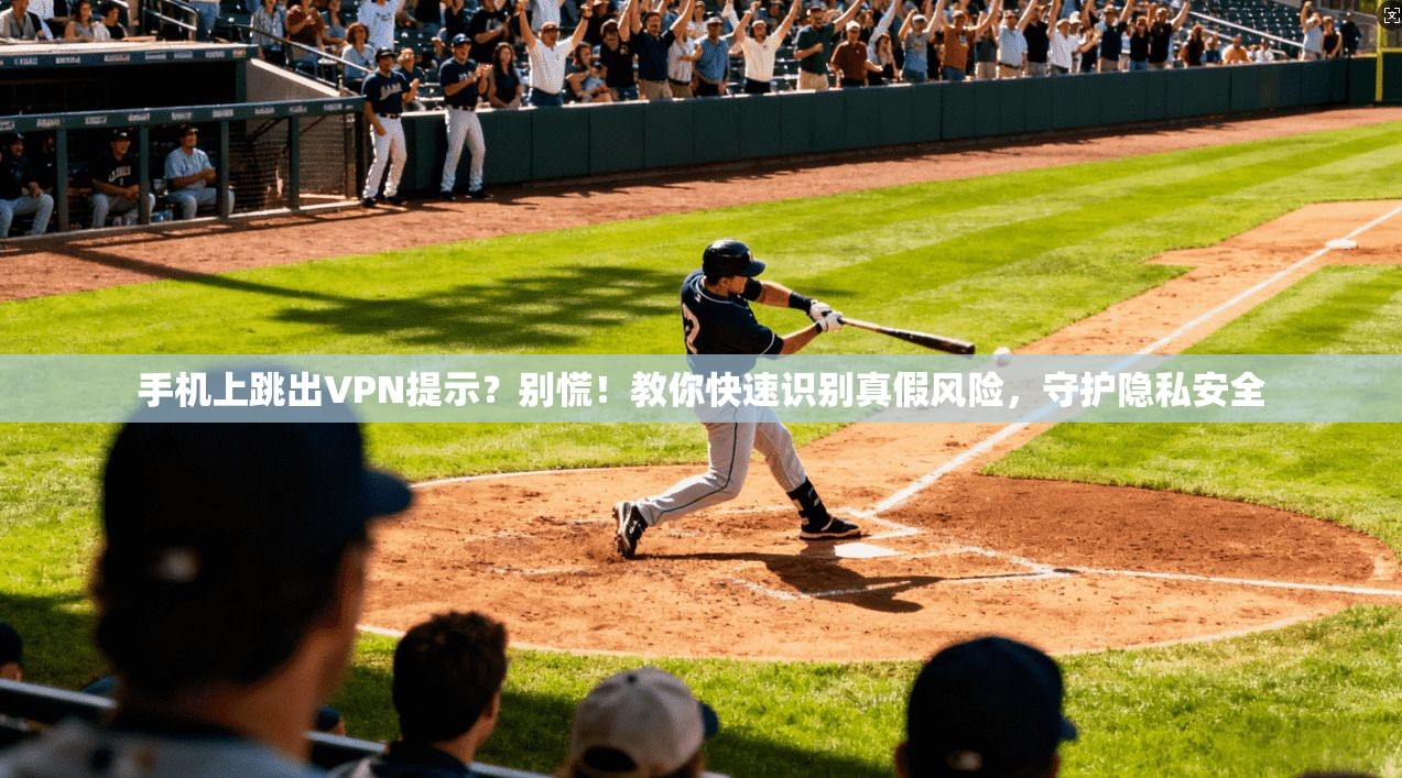手机上跳出VPN提示?别慌!教你快速识别真假风险,守护隐私安全