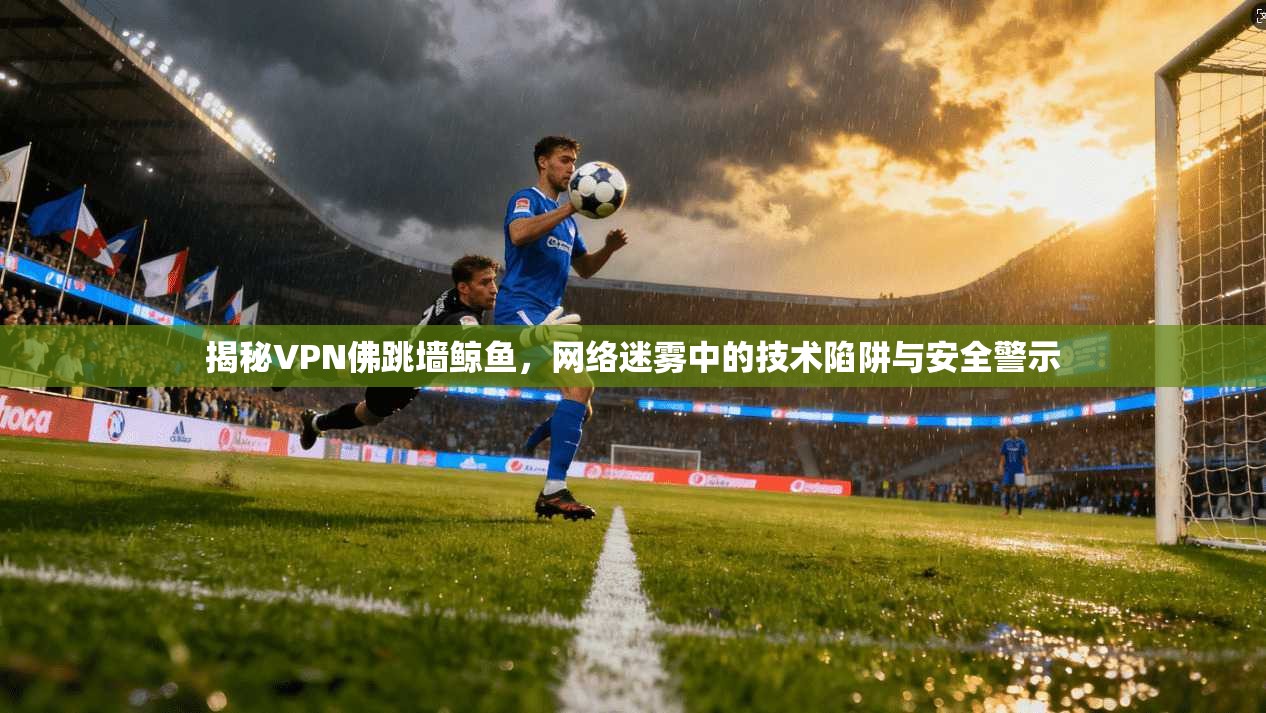 揭秘VPN佛跳墙鲸鱼，网络迷雾中的技术陷阱与安全警示