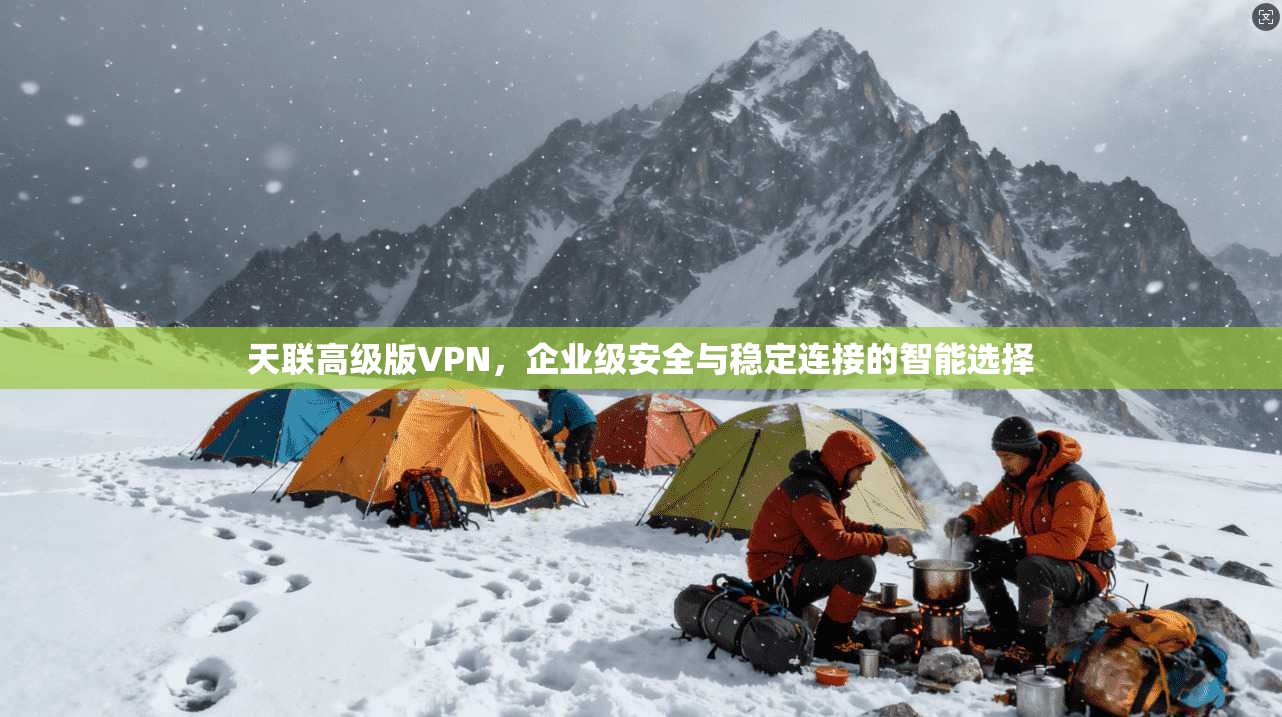 天联高级版VPN,企业级安全与稳定连接的智能选择