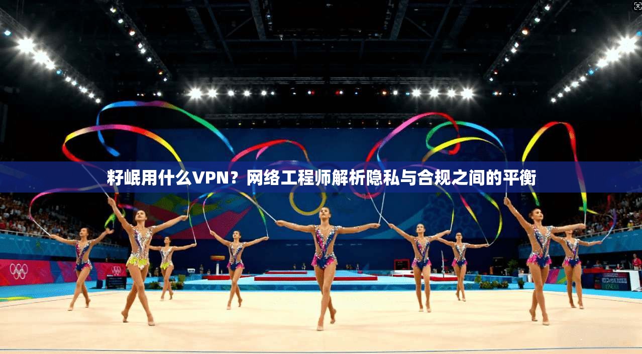 籽岷用什么VPN？网络工程师解析隐私与合规之间的平衡