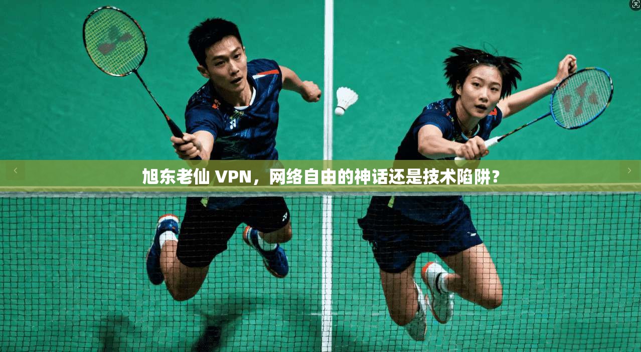 旭东老仙 VPN,网络自由的神话还是技术陷阱?