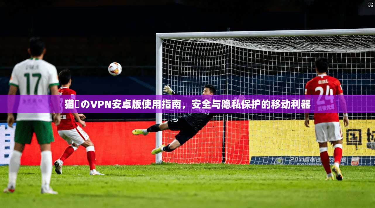 猫執のVPN安卓版使用指南,安全与隐私保护的移动利器