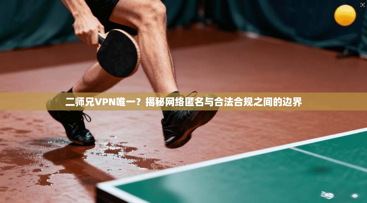 二师兄VPN唯一？揭秘网络匿名与合法合规之间的边界