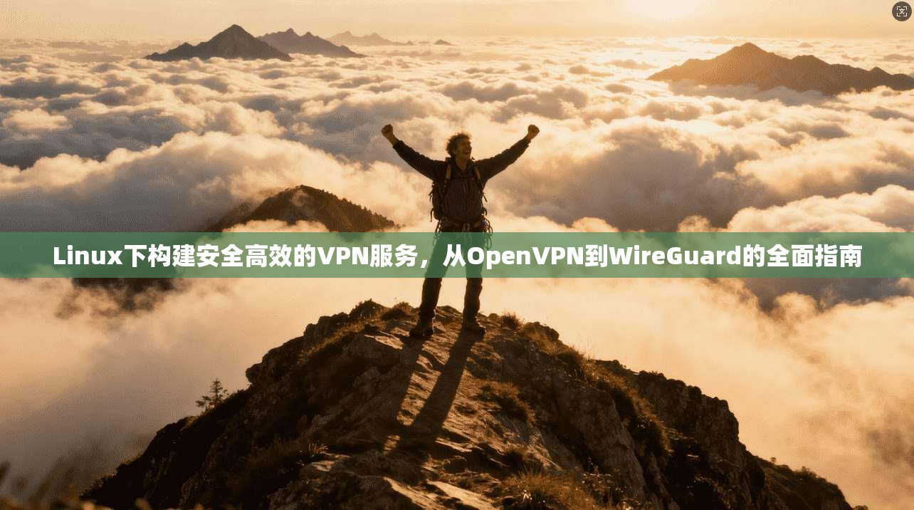 Linux下构建安全高效的VPN服务，从OpenVPN到WireGuard的全面指南