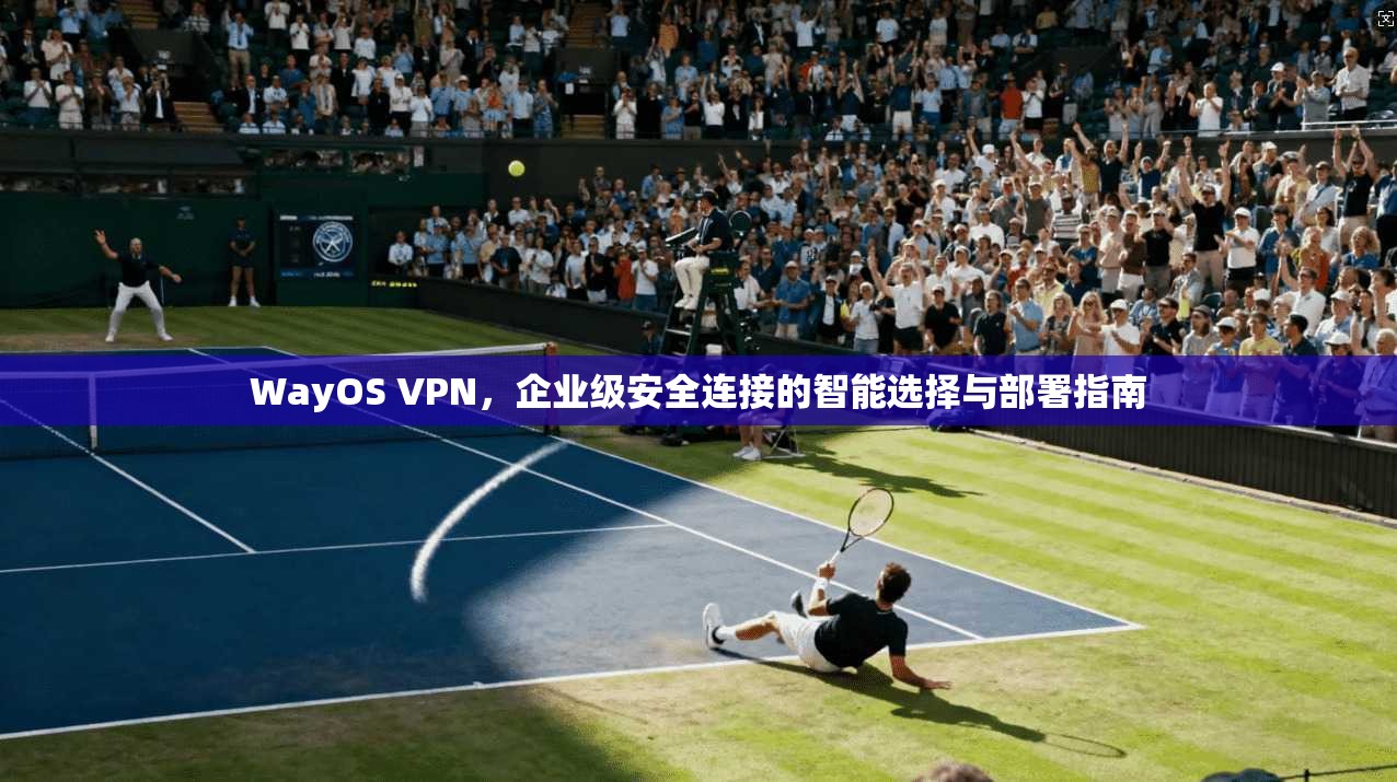 WayOS VPN，企业级安全连接的智能选择与部署指南