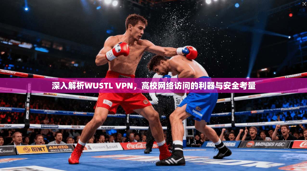 深入解析WUSTL VPN，高校网络访问的利器与安全考量