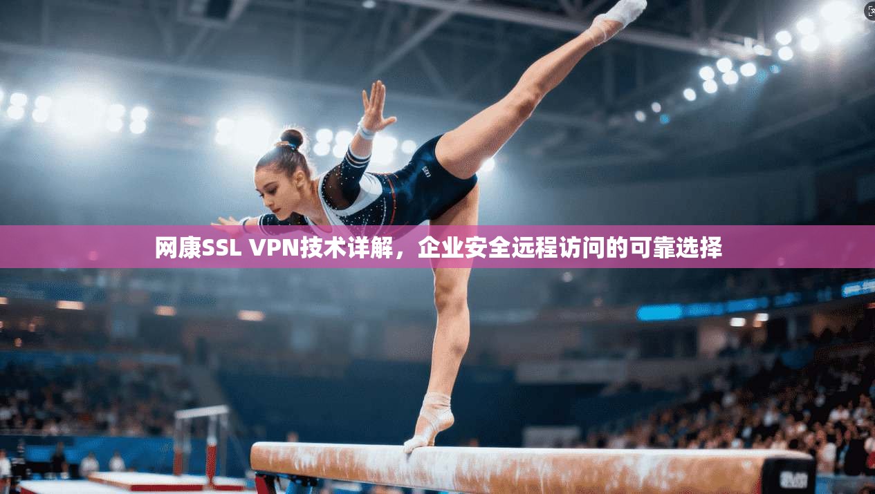 网康SSL VPN技术详解，企业安全远程访问的可靠选择