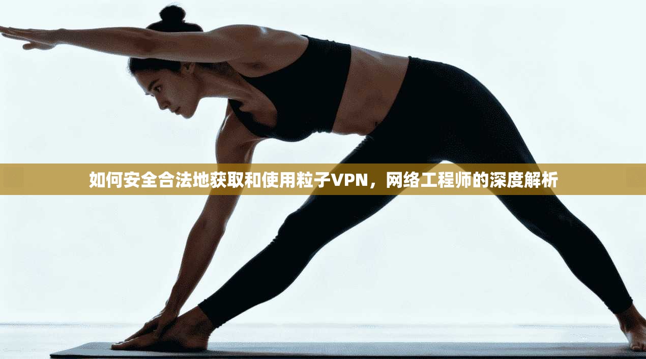 如何安全合法地获取和使用粒子VPN，网络工程师的深度解析