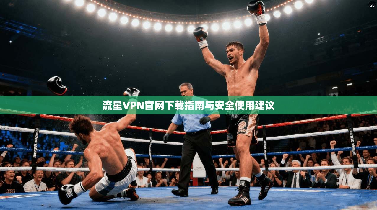 流星VPN官网下载指南与安全使用建议