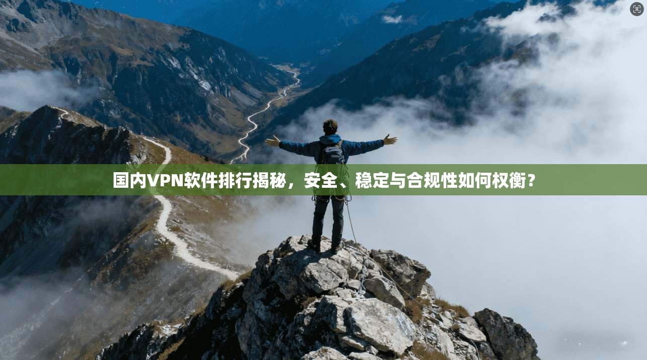 国内VPN软件排行揭秘，安全、稳定与合规性如何权衡？