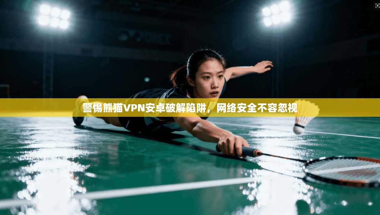 警惕熊猫VPN安卓破解陷阱，网络安全不容忽视