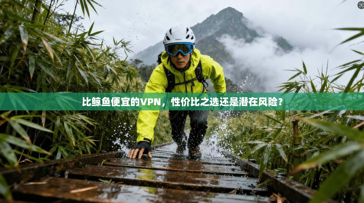 比鲸鱼便宜的VPN，性价比之选还是潜在风险？