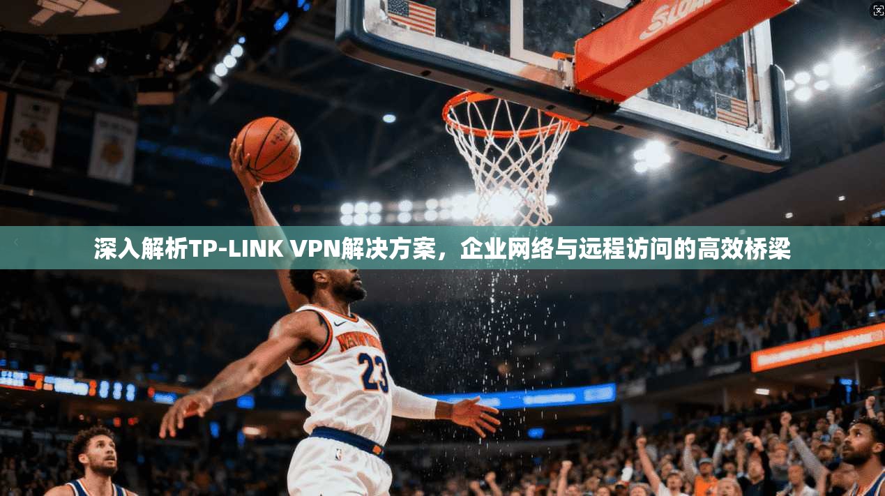 深入解析TP-LINK VPN解决方案，企业网络与远程访问的高效桥梁