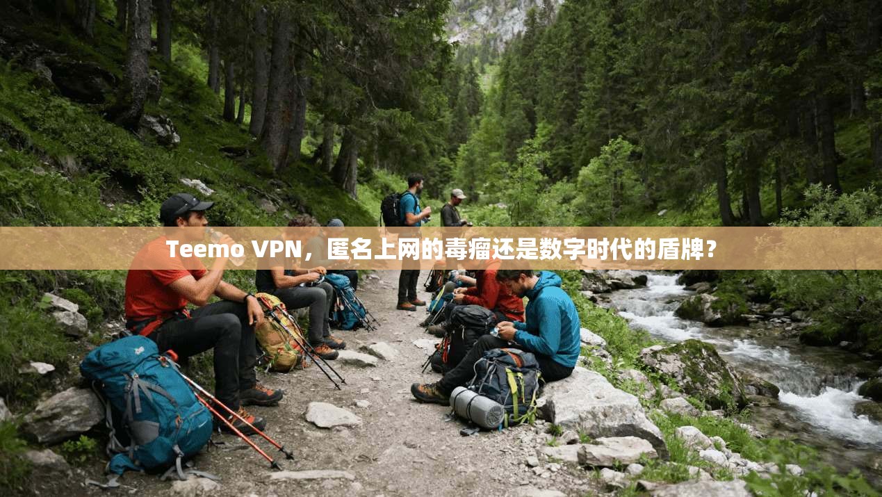 Teemo VPN，匿名上网的毒瘤还是数字时代的盾牌？