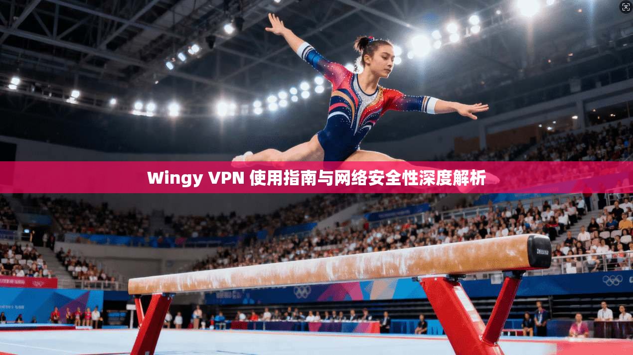 Wingy VPN 使用指南与网络安全性深度解析