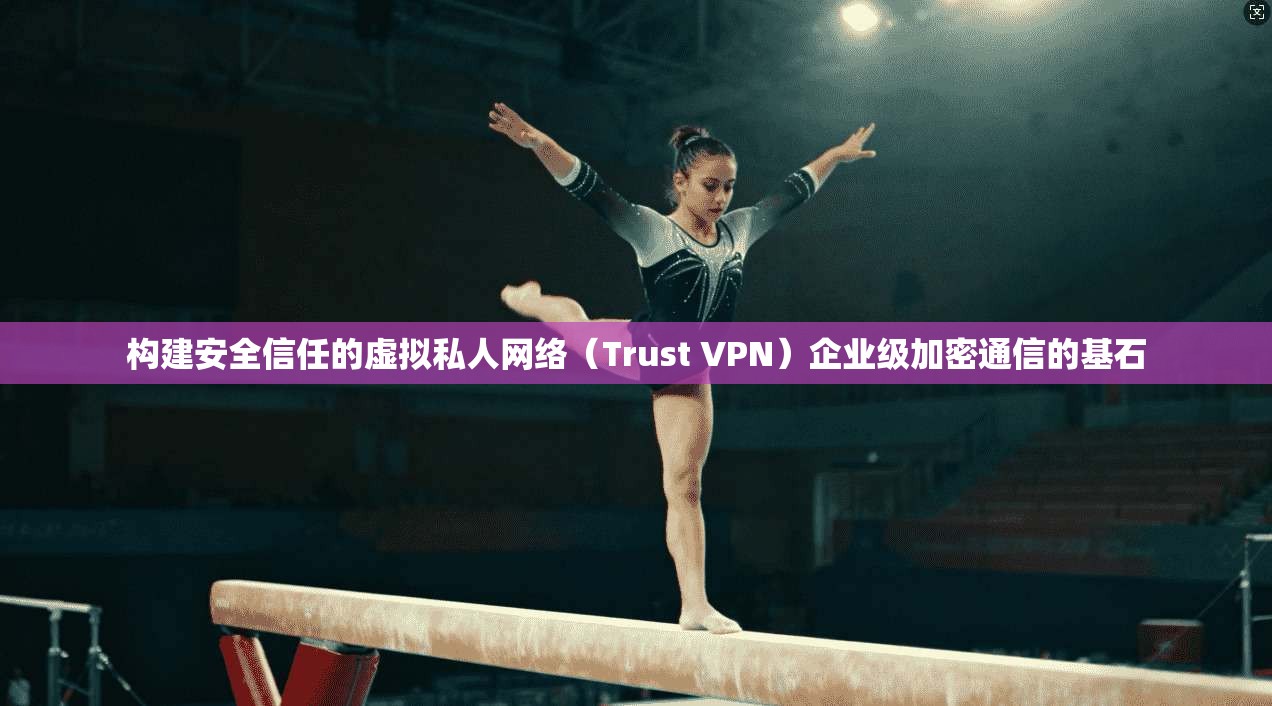 构建安全信任的虚拟私人网络（Trust VPN）企业级加密通信的基石
