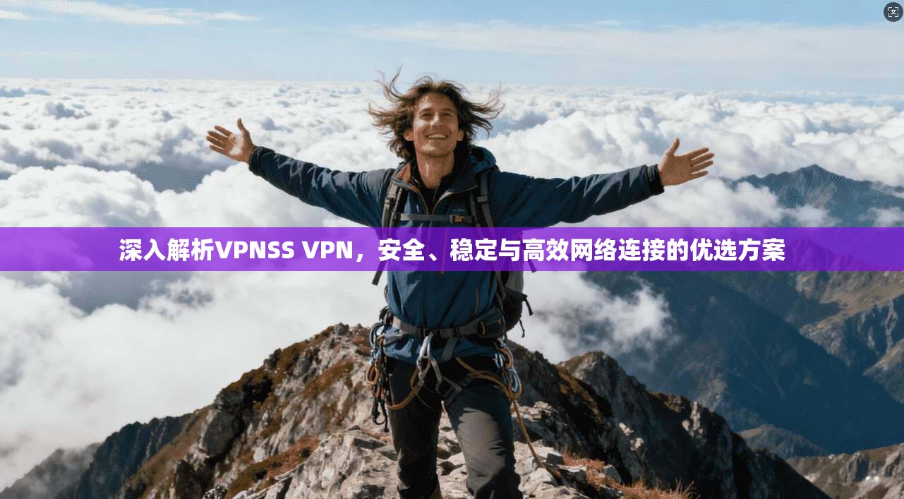 深入解析VPNSS VPN，安全、稳定与高效网络连接的优选方案