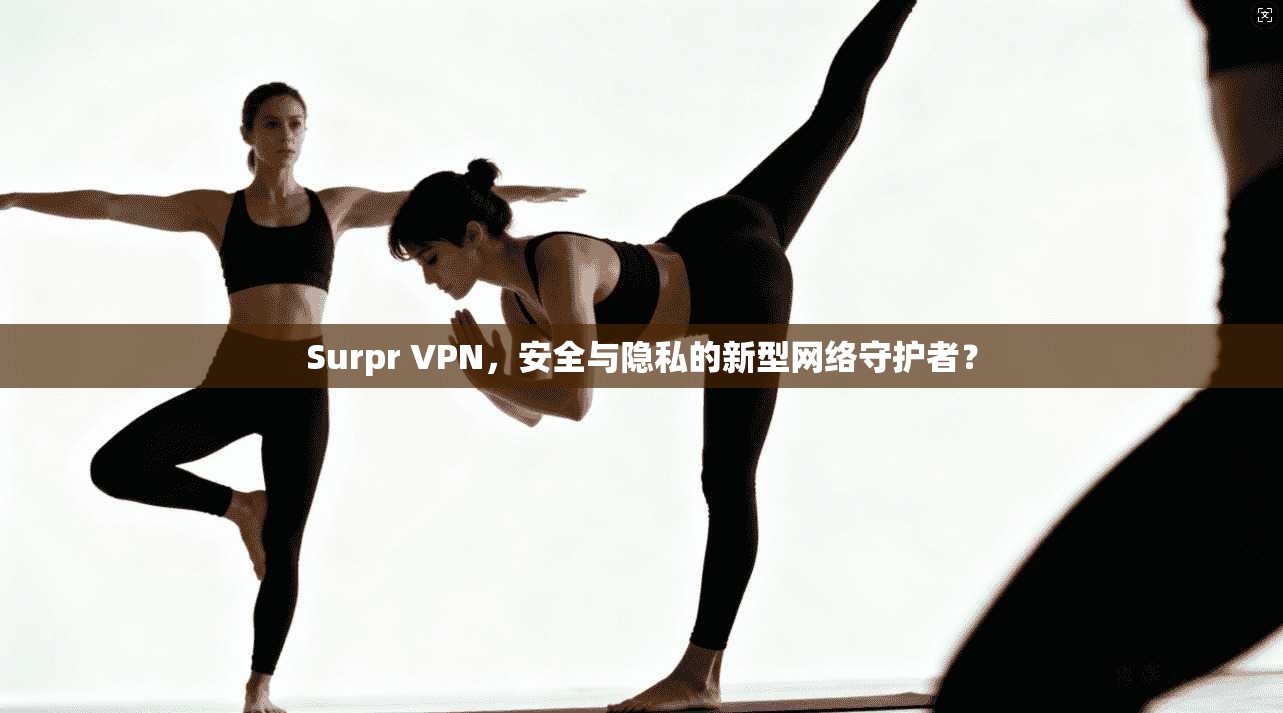 Surpr VPN，安全与隐私的新型网络守护者？