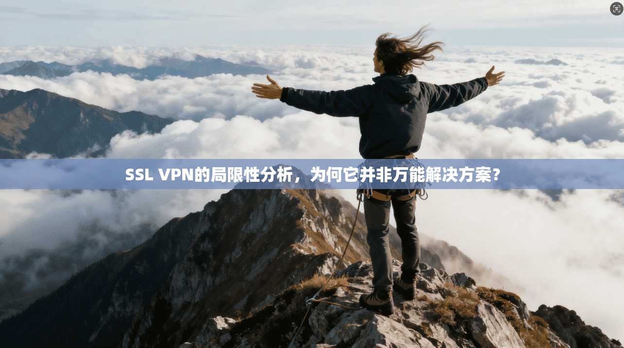 SSL VPN的局限性分析，为何它并非万能解决方案？