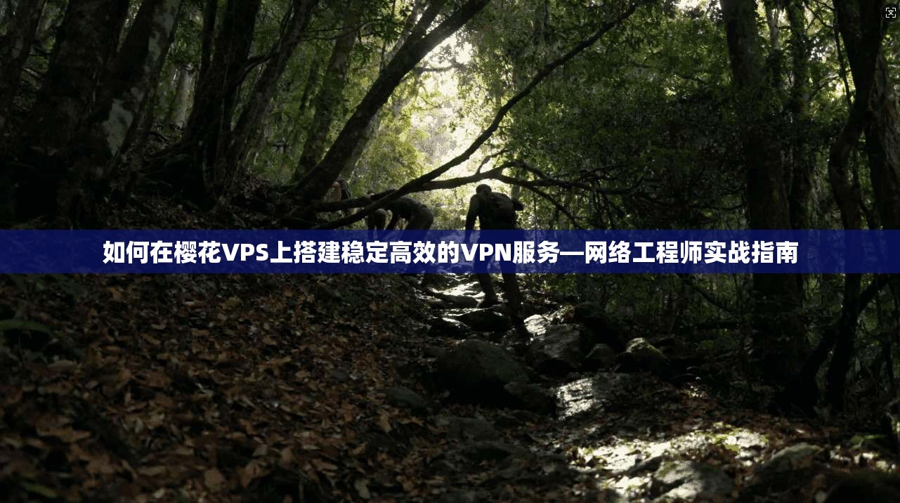 如何在樱花VPS上搭建稳定高效的VPN服务—网络工程师实战指南