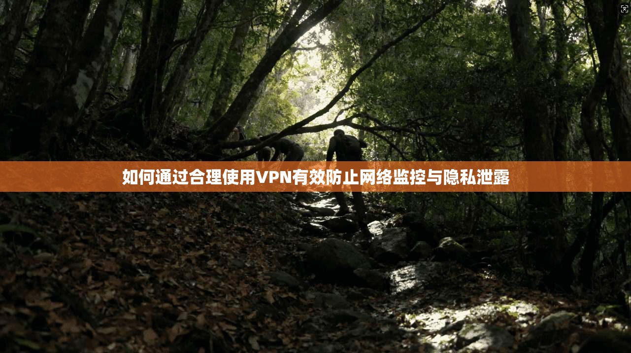 如何通过合理使用VPN有效防止网络监控与隐私泄露