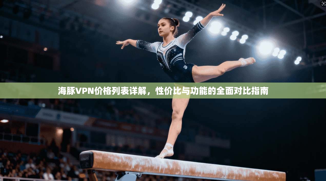 海豚VPN价格列表详解，性价比与功能的全面对比指南