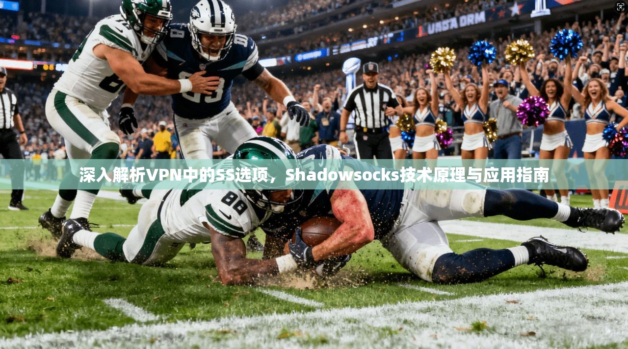 深入解析VPN中的SS选项，Shadowsocks技术原理与应用指南