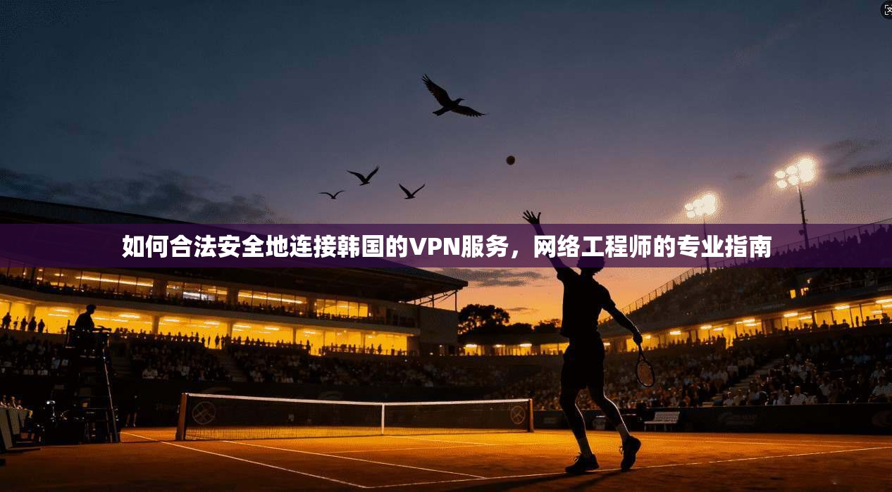 如何合法安全地连接韩国的VPN服务，网络工程师的专业指南