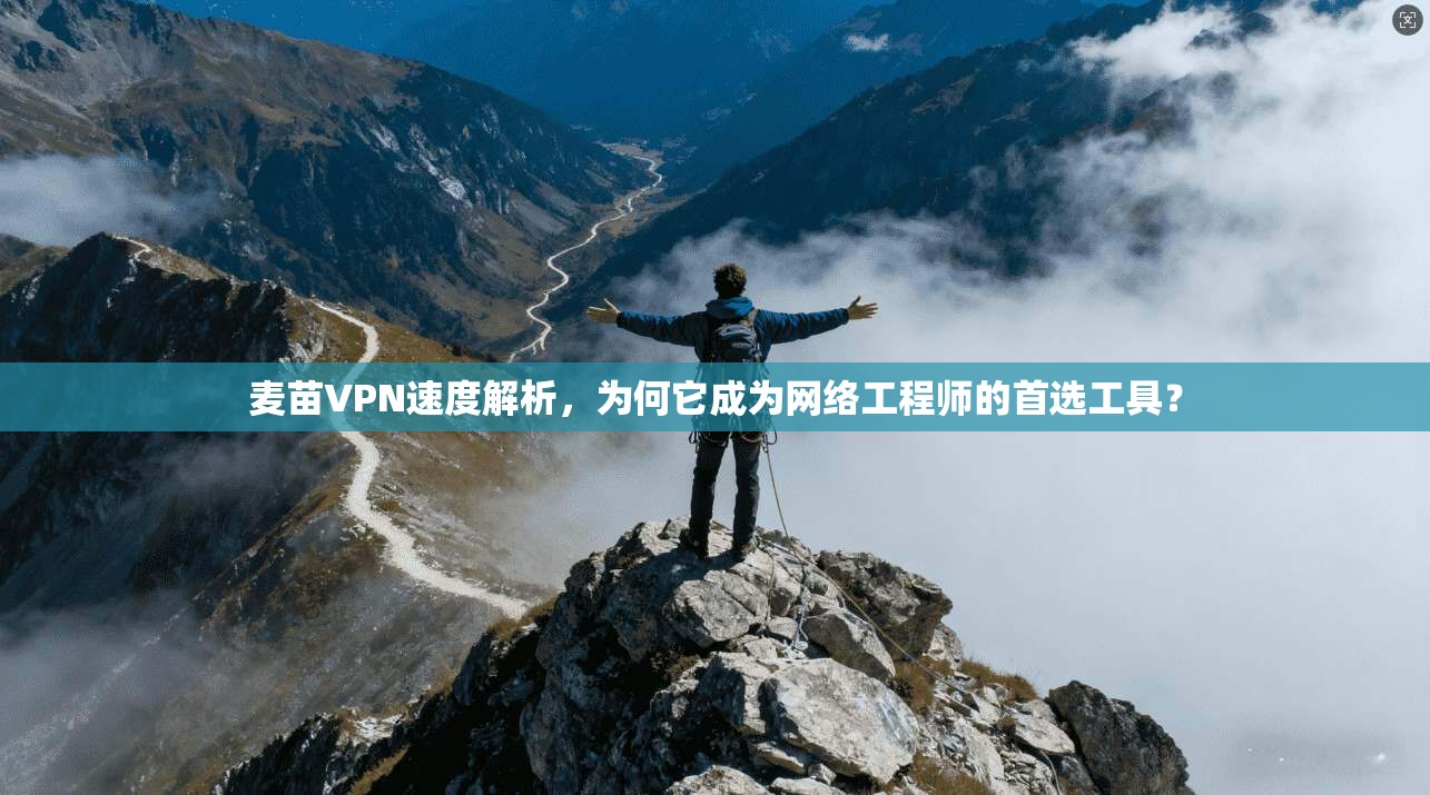 麦苗VPN速度解析，为何它成为网络工程师的首选工具？