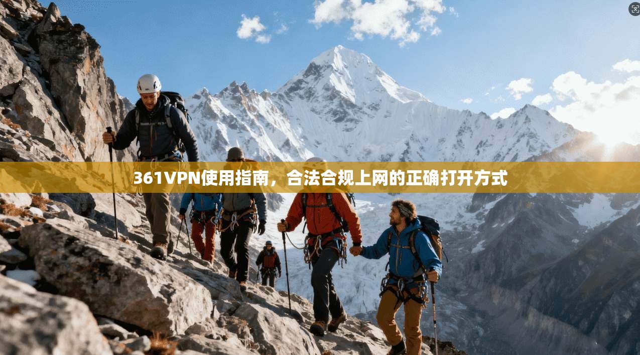 361VPN使用指南，合法合规上网的正确打开方式