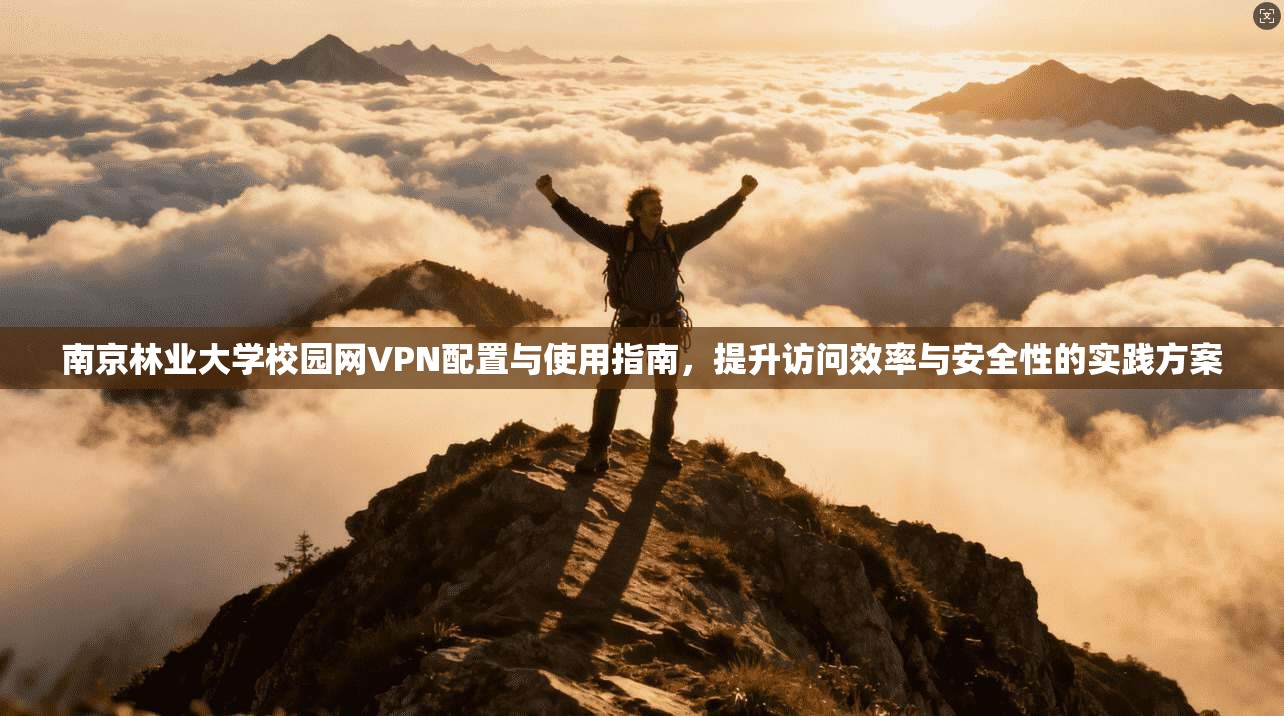 南京林业大学校园网VPN配置与使用指南，提升访问效率与安全性的实践方案