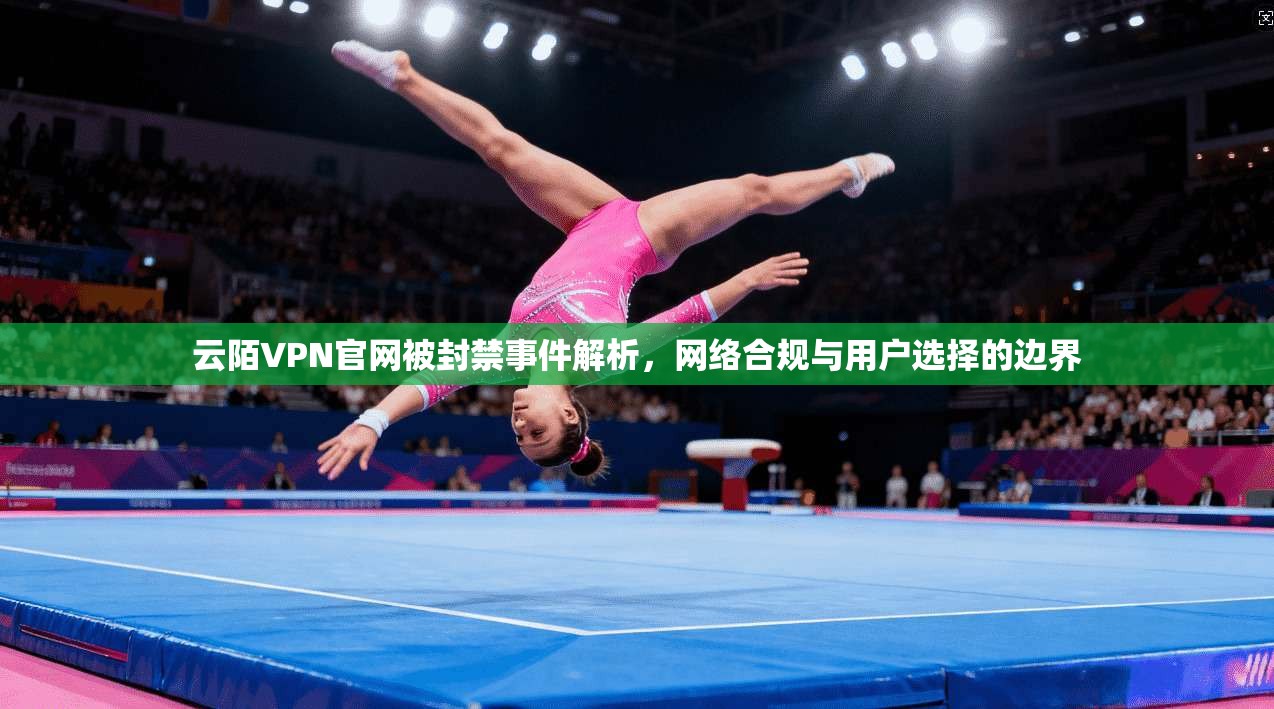 云陌VPN官网被封禁事件解析，网络合规与用户选择的边界