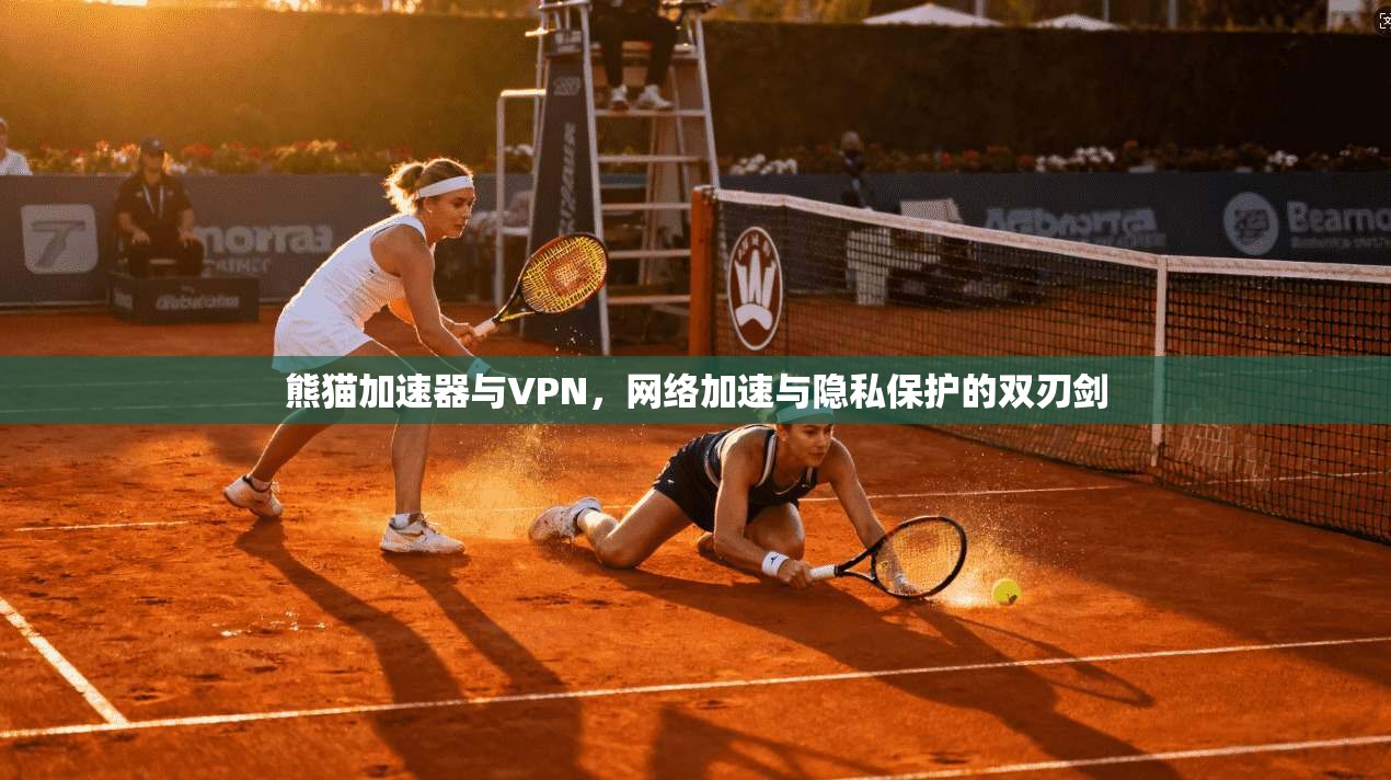 熊猫加速器与VPN，网络加速与隐私保护的双刃剑