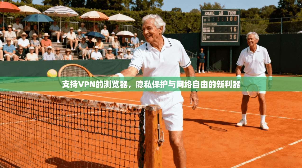支持VPN的浏览器，隐私保护与网络自由的新利器