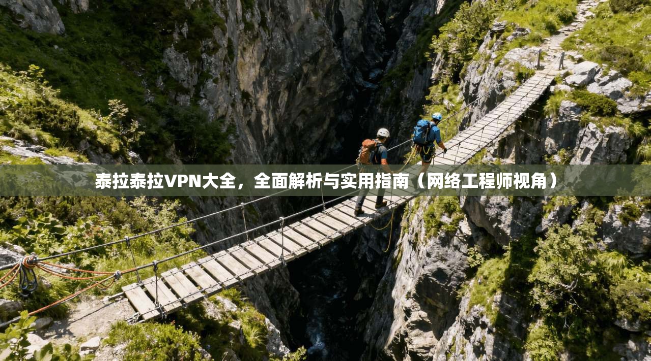 泰拉泰拉VPN大全，全面解析与实用指南（网络工程师视角）