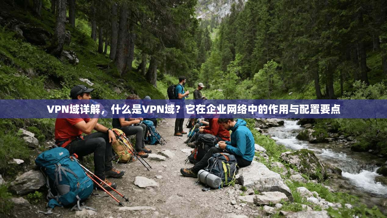 VPN域详解，什么是VPN域？它在企业网络中的作用与配置要点