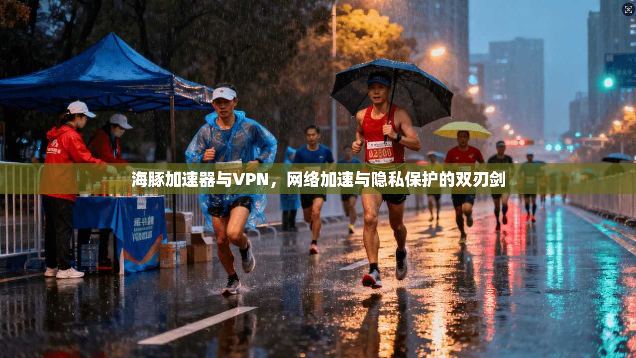 海豚加速器与VPN，网络加速与隐私保护的双刃剑