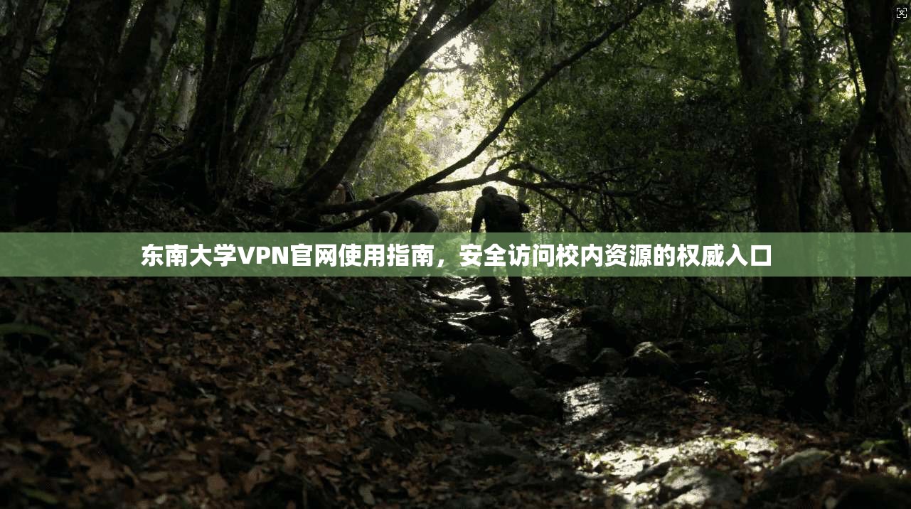 东南大学VPN官网使用指南，安全访问校内资源的权威入口