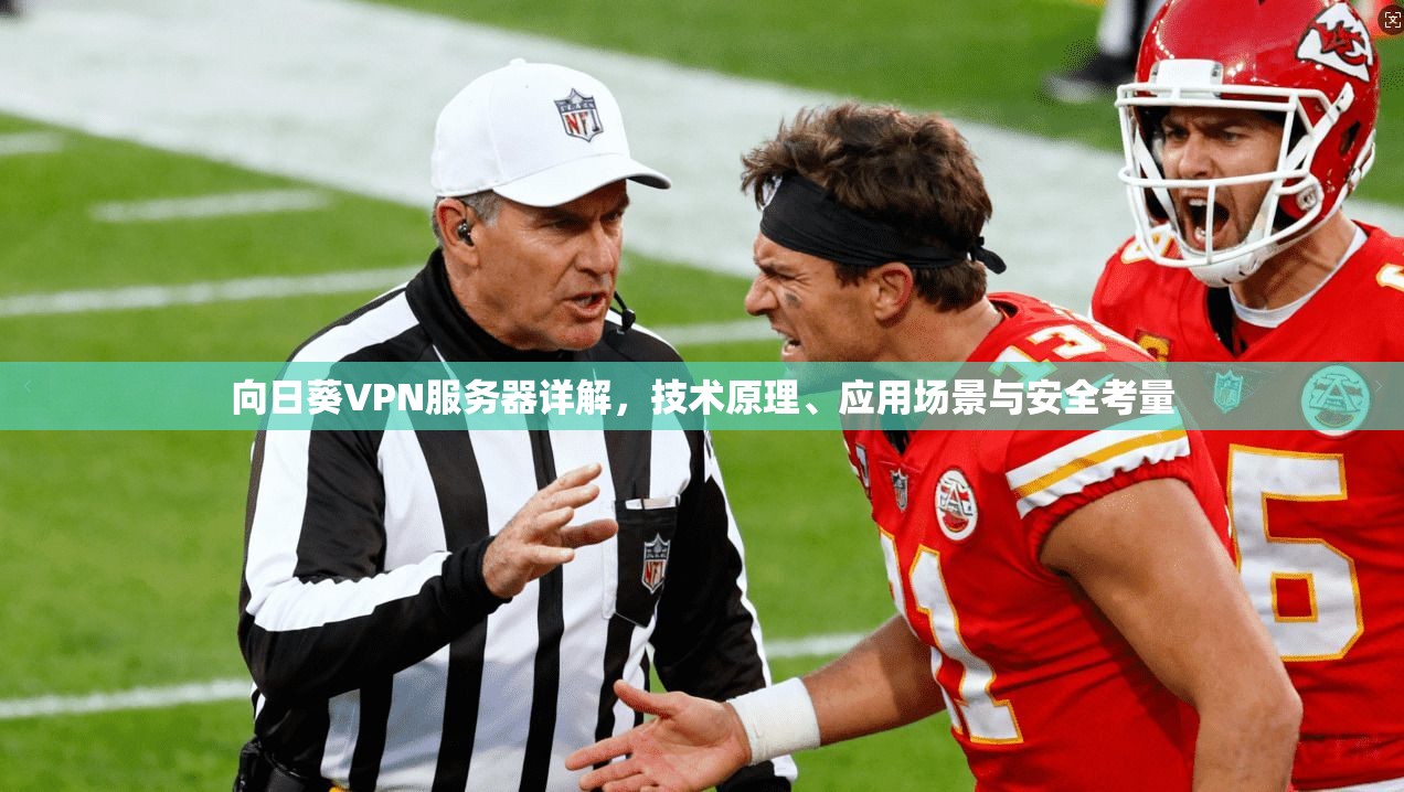 向日葵VPN服务器详解,技术原理、应用场景与安全考量