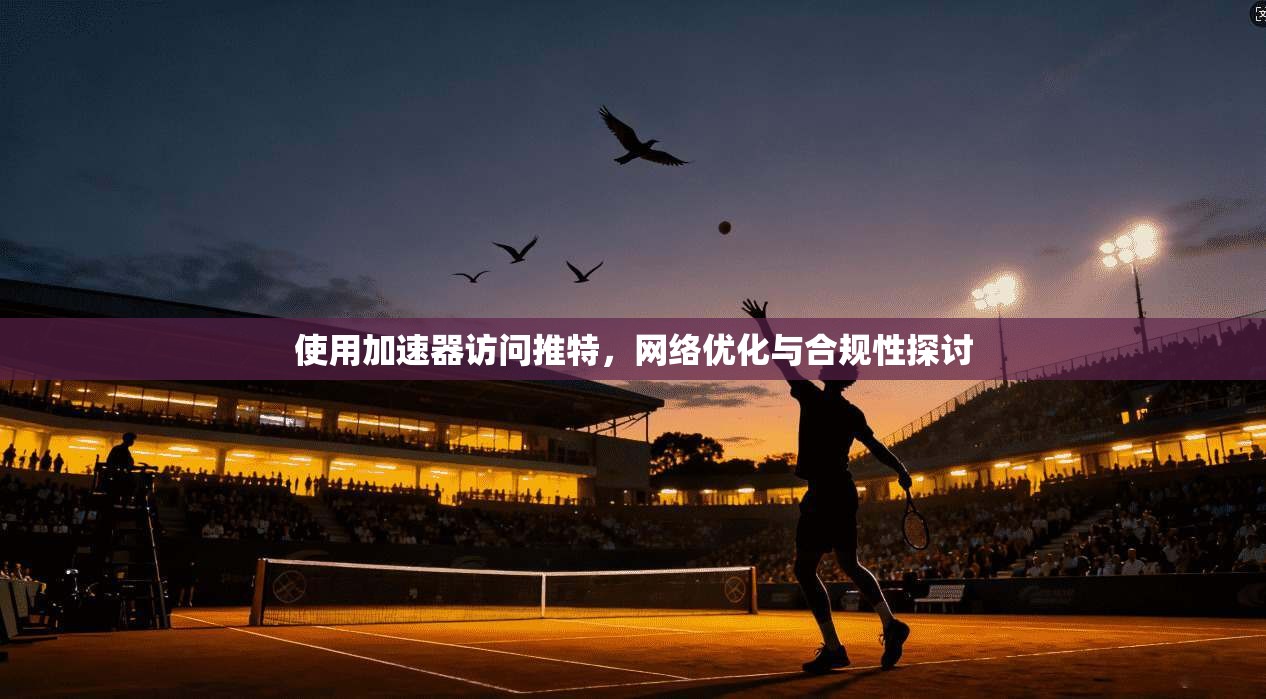 使用加速器访问推特，网络优化与合规性探讨