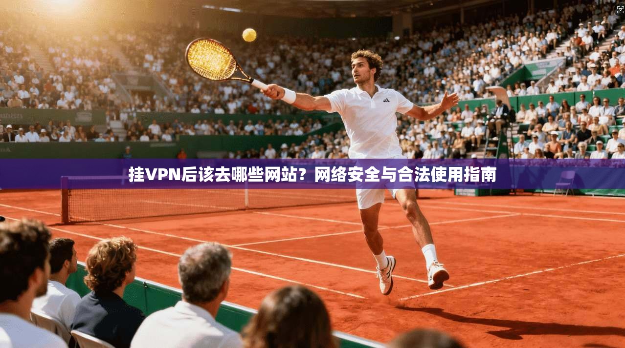 挂VPN后该去哪些网站？网络安全与合法使用指南