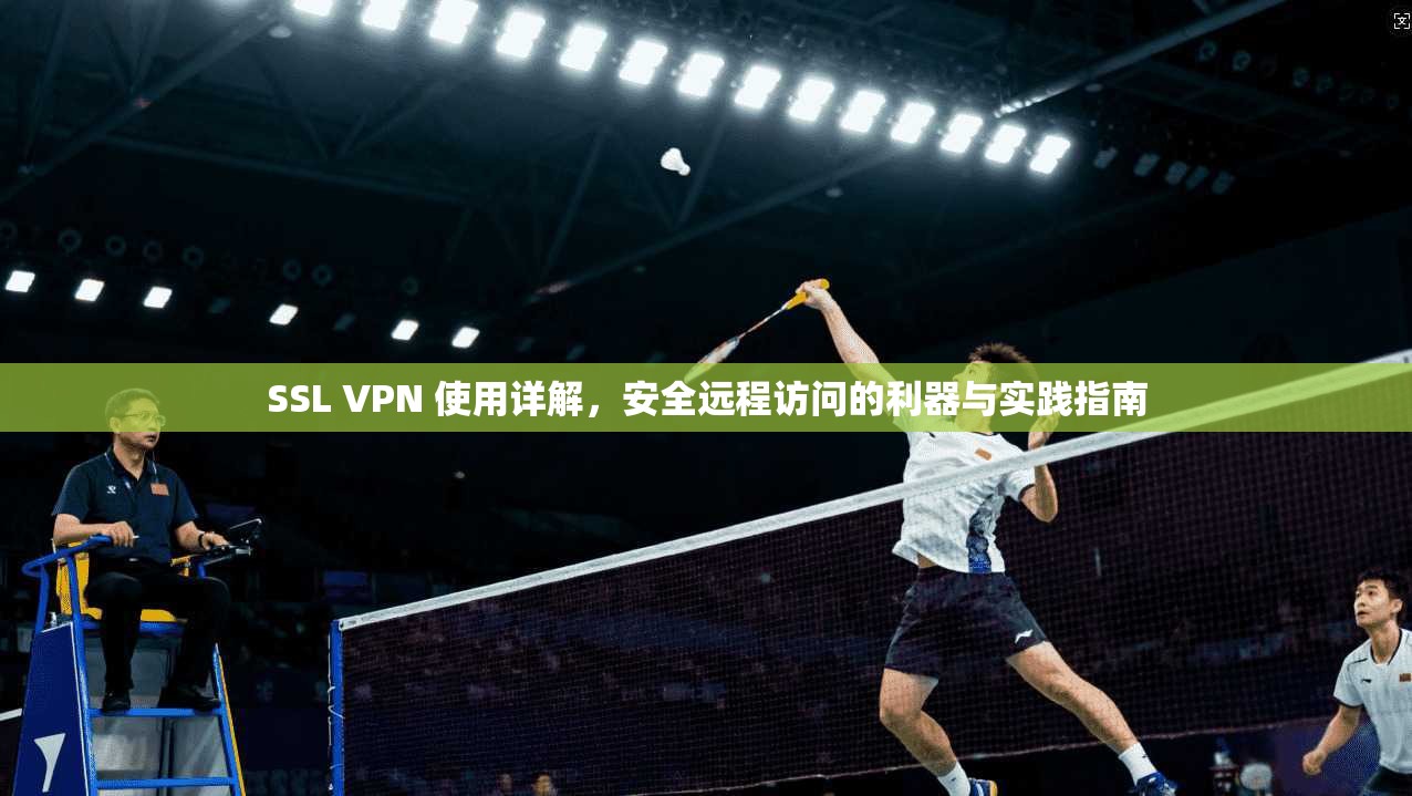 SSL VPN 使用详解，安全远程访问的利器与实践指南