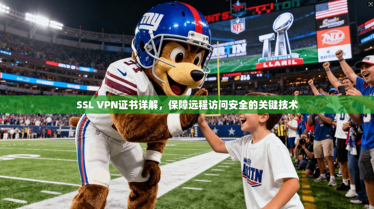 SSL VPN证书详解，保障远程访问安全的关键技术