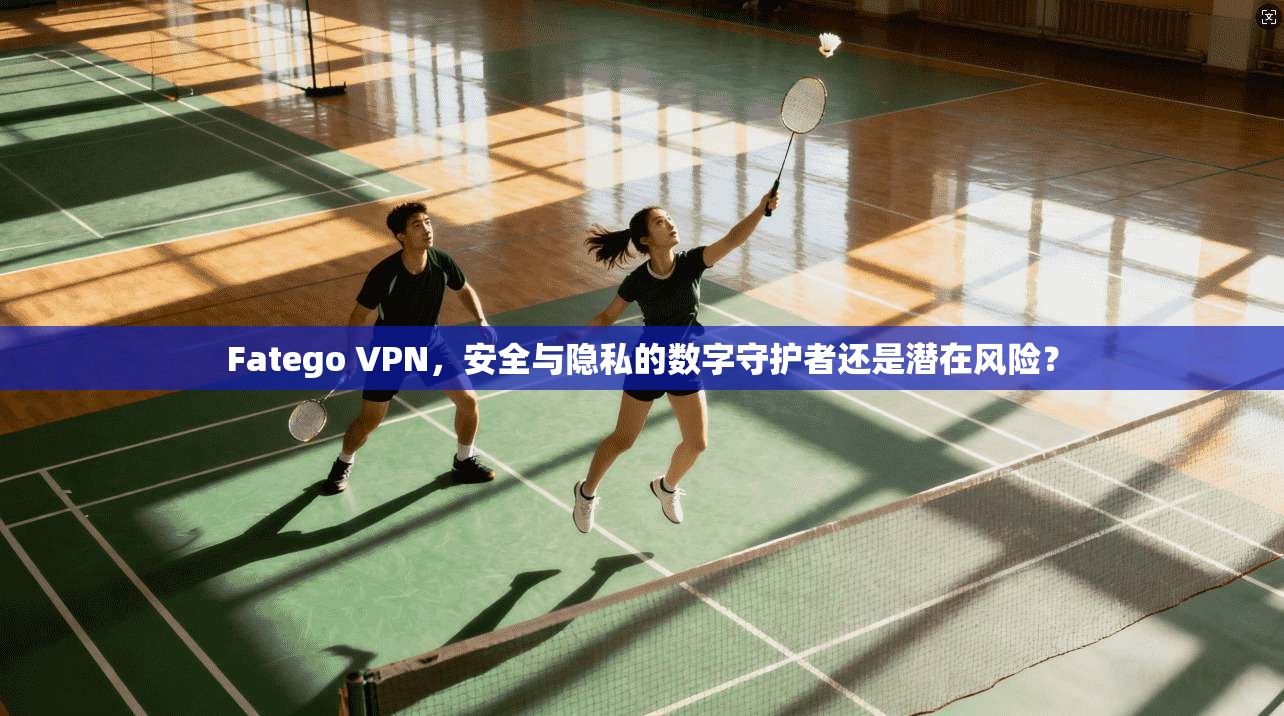 Fatego VPN，安全与隐私的数字守护者还是潜在风险？