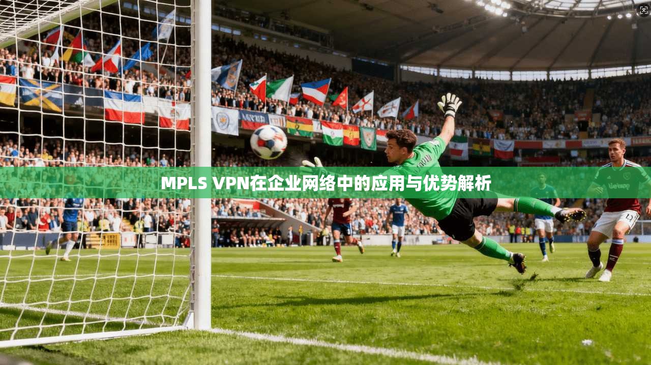 MPLS VPN在企业网络中的应用与优势解析